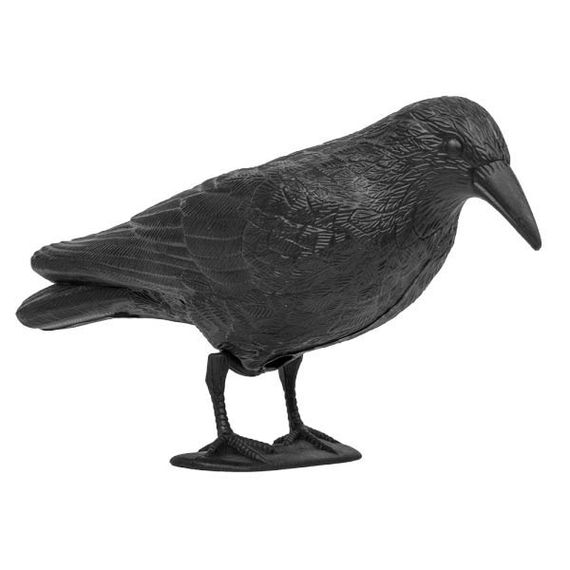 Відлякувач птахів Bradas Ворон 12 х 41 х 24 см CTRL-BR101