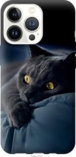 Чохол для Apple iPhone 13 Pro з пластику FCh_032333