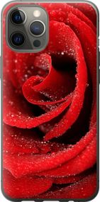 Чехол на iPhone 12 Pro Max Красная роза "529u-2054-17620"