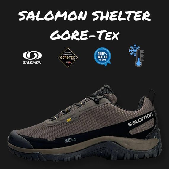 Чоловічі кросівки Salomon Shelter Gore-Tex Brown , В'єтнам 42 26.5 | Зображення 2