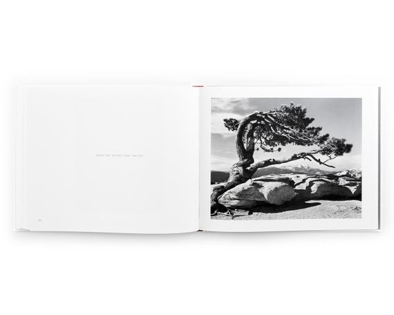 Книга для фотографов работы Анселя Адамса Йосемити Ansel Adams "Yosemite" пейзажная фотография книги | Зображення 8