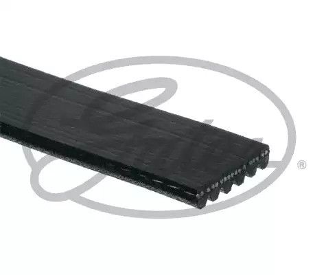 Ремінь генератора струмковий Logan 1.6, GATES (6PK1818) (8200356268) | Зображення 2