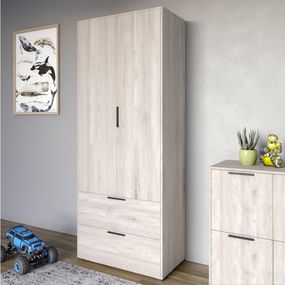 Шафа розпашна дводверна LION Краш з 2 шухлядами Самоа димчастий (LION-044005)