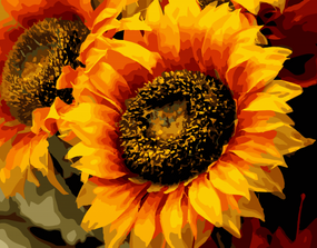 Картина за номерами "Шпигун сонця" 40х50 см 13106-AC