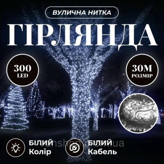 Гірлянда Нитка вулична 30 м 300 LED білий провід Білий CF300L30MWW