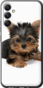 Чехол на Samsung Galaxy A34 A346E Щенок йоркширского терьера "931u-2936-17620"
