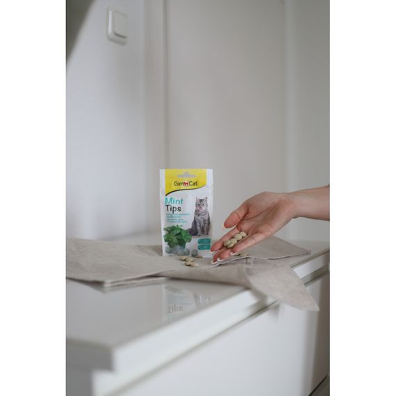 Вітаміни GimCat таблетки Every Day для котів усіх порід з кошачою м ятою 40г | Зображення 4