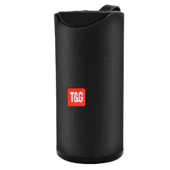 Колонка T&G TG113 | Зображення 1