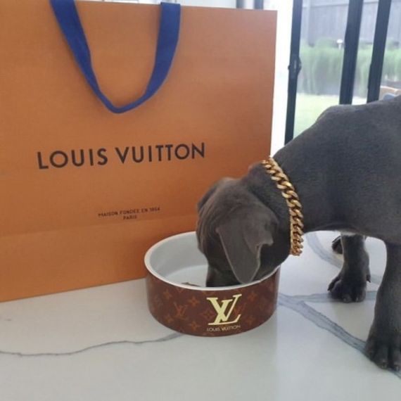 Брендовая керамическая миска для животных собак и котов одинарная Louis Vuitton, коричневая | Зображення 2