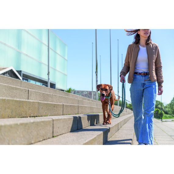 Повідок Trixie Cavo для собак регульований L–XL 2 м діаметр 18 мм аква-графіт | Зображення 3