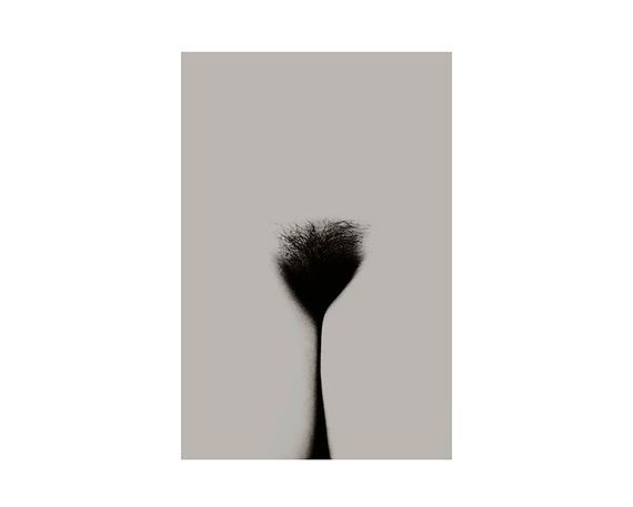 Книга Sara Punt - Bare (Signed, numbered + print) | Зображення 1