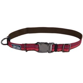 Ошейник светоотражающий для собак Coastal K9 Explorer Collar, 46-66 см, красный