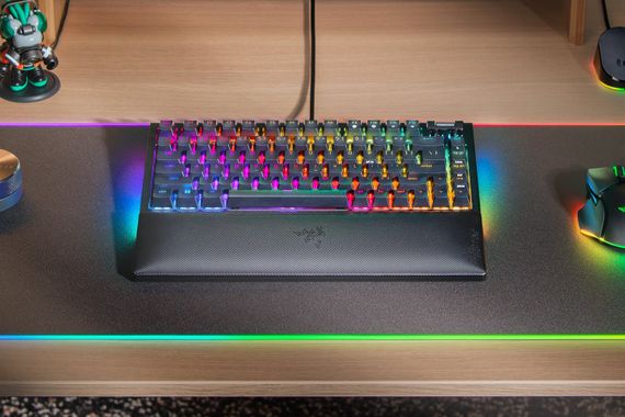 Клавіатура Razer BlackWidow V4 75% RGB 83key Mechanical Tactile Switch GEN-3 RZ03-05000100-R3M1 | Зображення 1