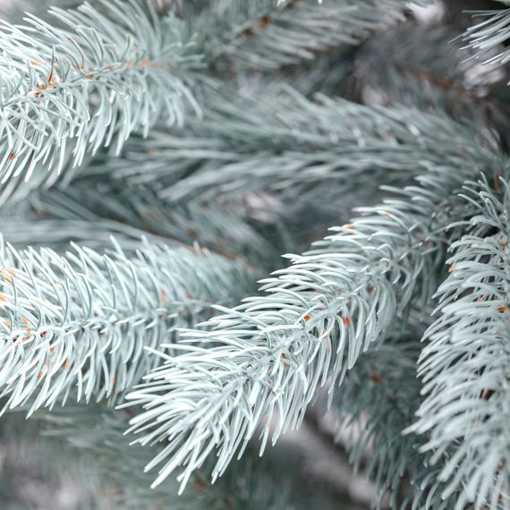 Штучна ялинка 1.8 м | Зображення 1