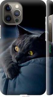 Чохол на iPhone 12 Pro Max Димчастий кіт "825m-2054-2448"