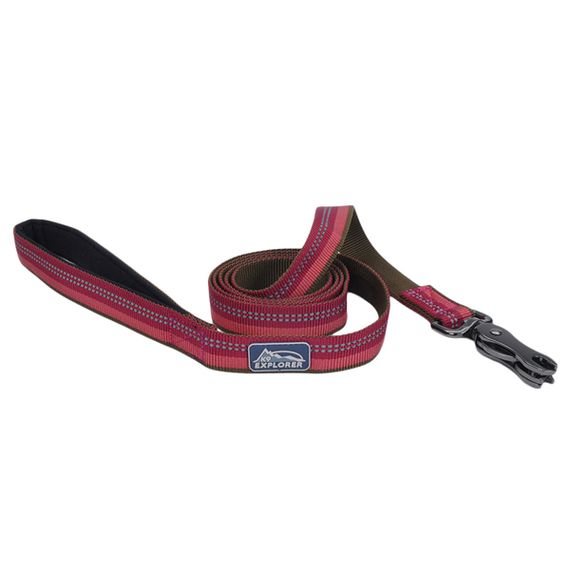 Повідець світловідбивний для собак Coastal K9 Explorer Leash, 1.8 м х 2.5 см, пурпурний