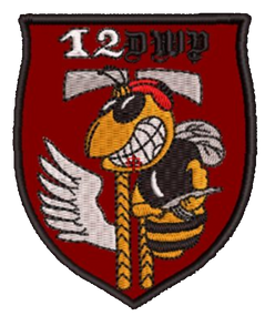 Шеврон 12 ДШР