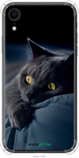 Чохол на iPhone XR Димчастий кіт "825sp-1560-2448"