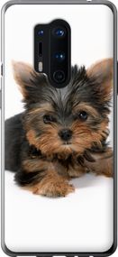 Чехол на OnePlus 8 Pro Щенок йоркширского терьера "931u-1896-17620"