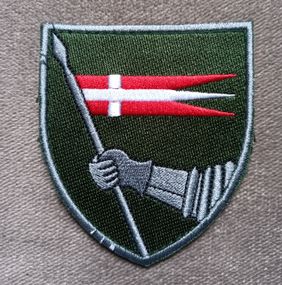 Шеврон 14 ОМБР (кольоровий)