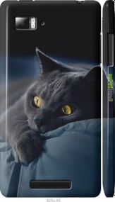 Чохол на Lenovo Vibe Z K910 Димчастий кіт "825m-85-2448"