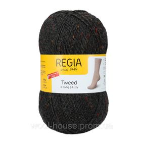 Шкарпеткова пряжа Regia Tweed 100 г, 00098