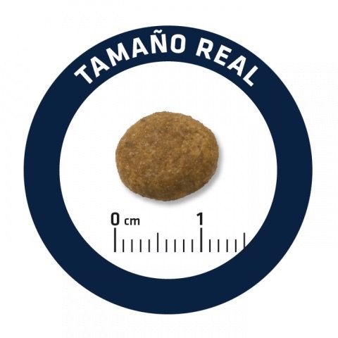 Сухий корм з куркою для щенят великих порід Advance Maxi Puppy, 12 кг | Зображення 5