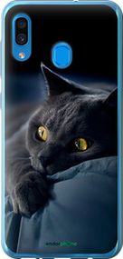 Чохол на Samsung Galaxy A20 2019 A205F Димчастий кіт "825t-1761-2448"