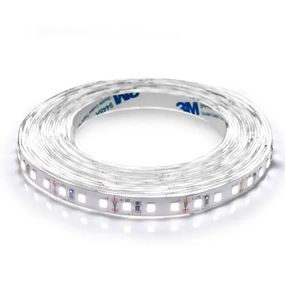 Світлодіодна стрічка Biom Professional 13,5W холодна біла IP20 BPS-G3-12-2835-120-CW-20
