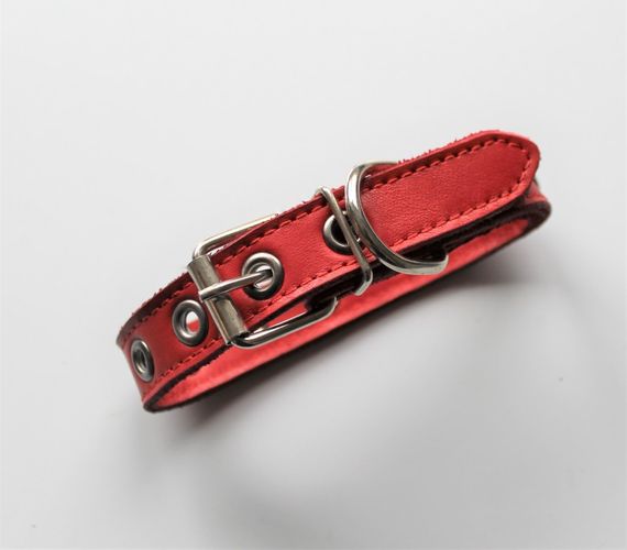 Кожаный ошейник со стразами "Lockdog" красный | Зображення 1