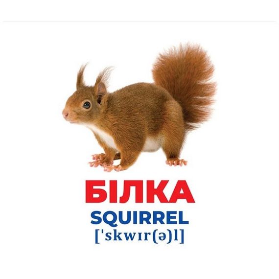 Набір розвиваючих карток Геній з пелюшок "Тварини України" Ранок 10107192У, 17 карток | Зображення 1