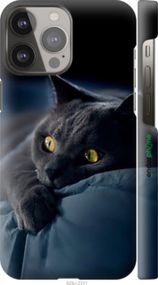 Чохол на iPhone 13 Pro Max Димчастий кіт "825m-2371-2448"