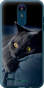Чохол на LG K8 2018 Димчастий кіт "825u-1384-2448"