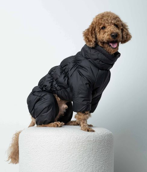 Зимовий комбінезон Comfort чорний R-52 | Зображення 1