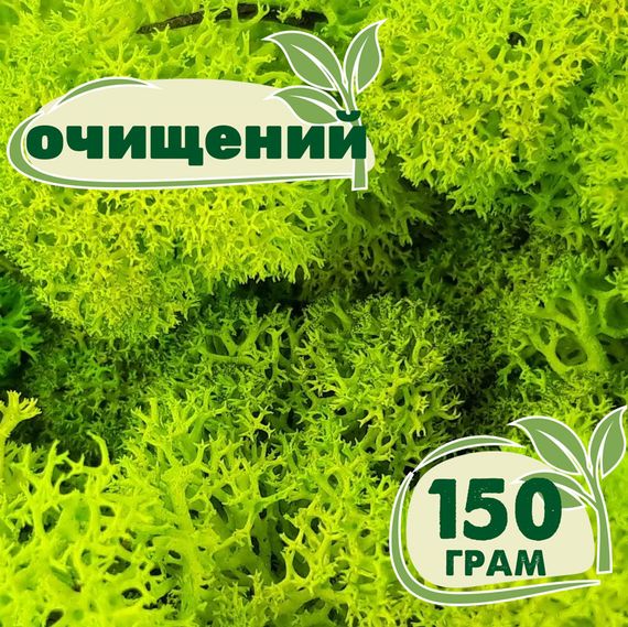 Очищений стабілізований мох ягель Зелений весняний 150 грам