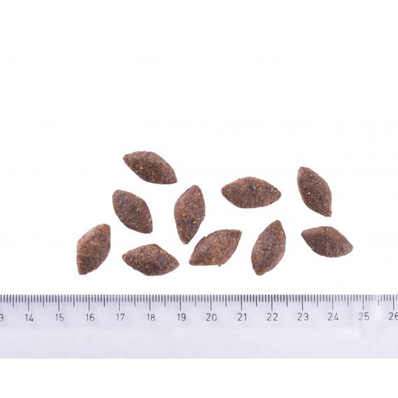 Корм сухий Brit Care Dog Sustainable Activity для дорослих собак з підвищеною активністю з куркою та комахами 3 кг | Зображення 3