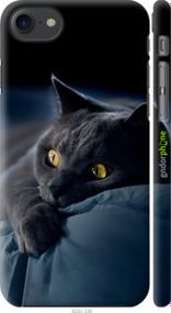 Чохол на iPhone 8 Димчастий кіт "825m-1031-2448"