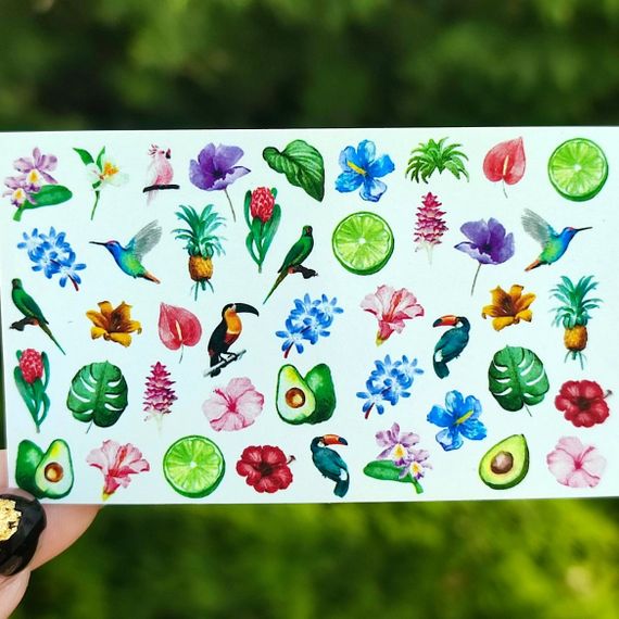 Слайдер B-10 на водяній основі (5x8см)