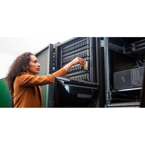 Жорсткий диск 3.5" 6TB WD (WD6004FRYZ) | Зображення 2