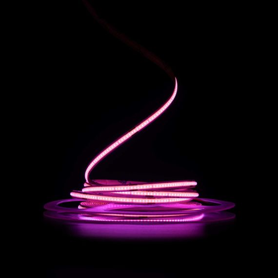Світлодіодна LED стрічка PROLUM™ 24V СОВ 480 LED 5ММ IP20 Series "SG" Рожевий | Зображення 1