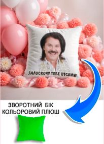 Подушка плюшева Мерч Крафт Дизайн з принтом Зібров 3 салатовий плюш квадратна 33х33 см