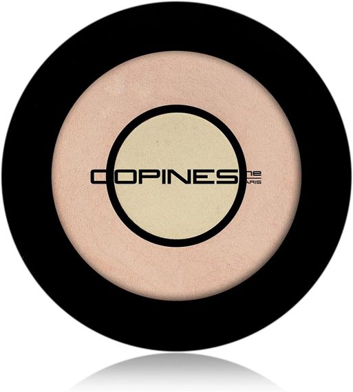 Двойной хайлайтер для лица Copines line Paris NG HIGHLIGHTER DUO
