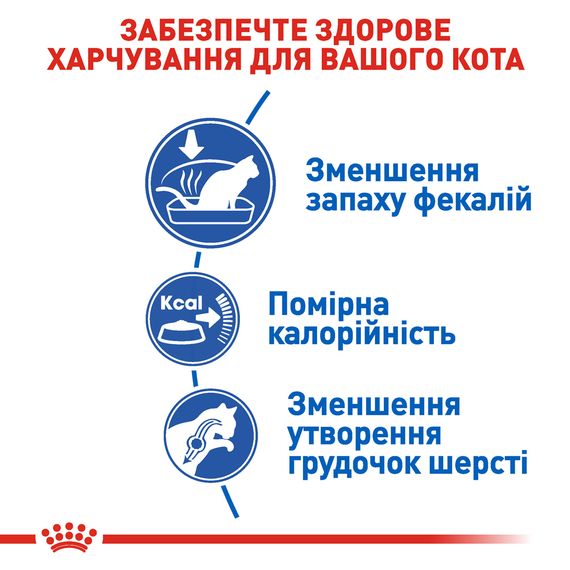 Сухий корм для котів від 1 до 7 років Royal Canin Indoor живуть в приміщенні 10 кг | Зображення 3