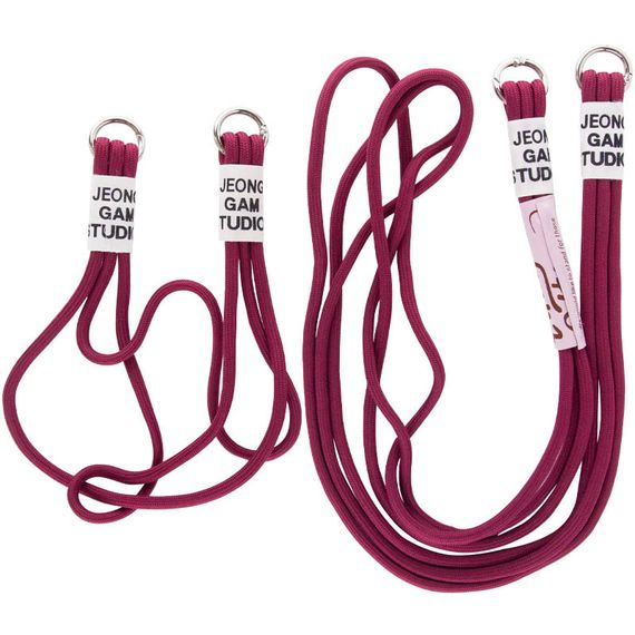 Чохол TPU two straps California для Apple iPhone 13 Pro (6.1") Червоний / Rose Red | Зображення 4