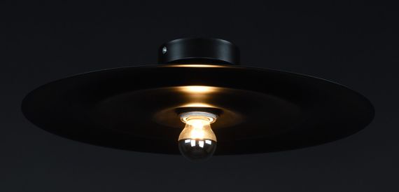 Люстра стельова на 1 лампочку 27311 Чорний 10х40х40 см. | Зображення 1