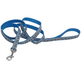 Повідець світловідбивний для собак Coastal Lazer Brite Reflective Leash, 1.8 м х 2.5 см, бірюзовий