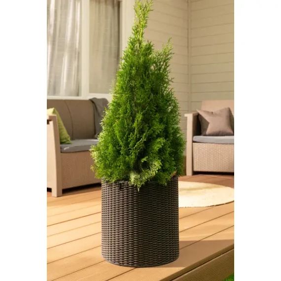 Горшок для цветов (кашпо) Keter (Кетер) Cylinder Planter M (17197835) Коричневый | Зображення 5