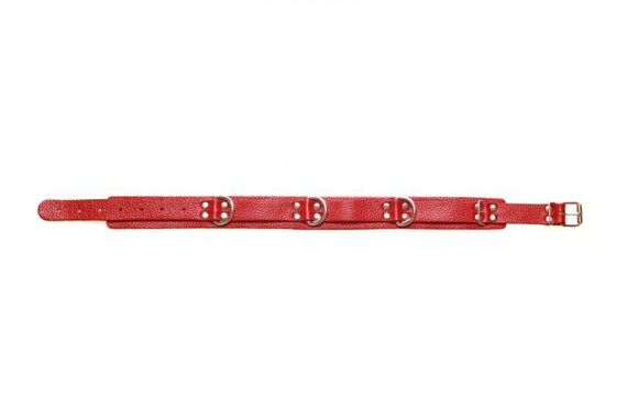 Нашийник Slave leather collar, Red sexstyle | Зображення 1