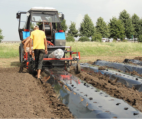 Плівка Мульча Shadow 30 мкм 1,2 м*10 м в  плівка поліетиленова для мульчування пакетована | Зображення 8