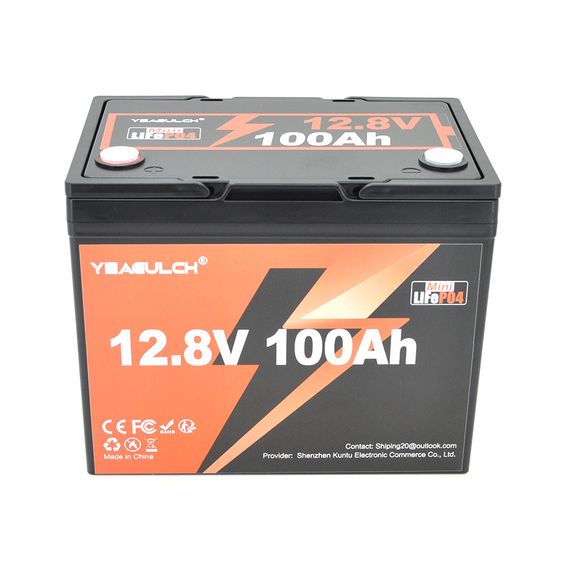 Акумуляторна батарея YEAGULCH Mini LiFePO4 12,8V 100Ah 1280Wh, BMS-100A, (  246 x 187 x 197) , M8, 12.9kg Q1 | Зображення 1
